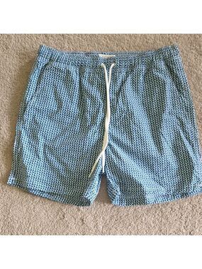 J. Crew Blue Geometric Swim Trunks